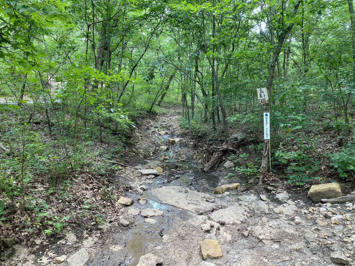 Bear Trks trail photo