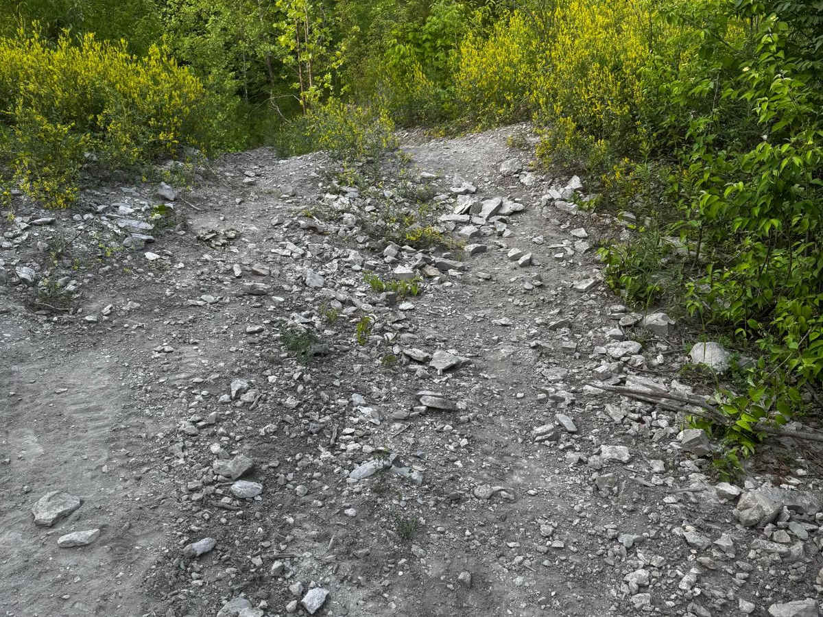 2nd Gear 153 trail photo