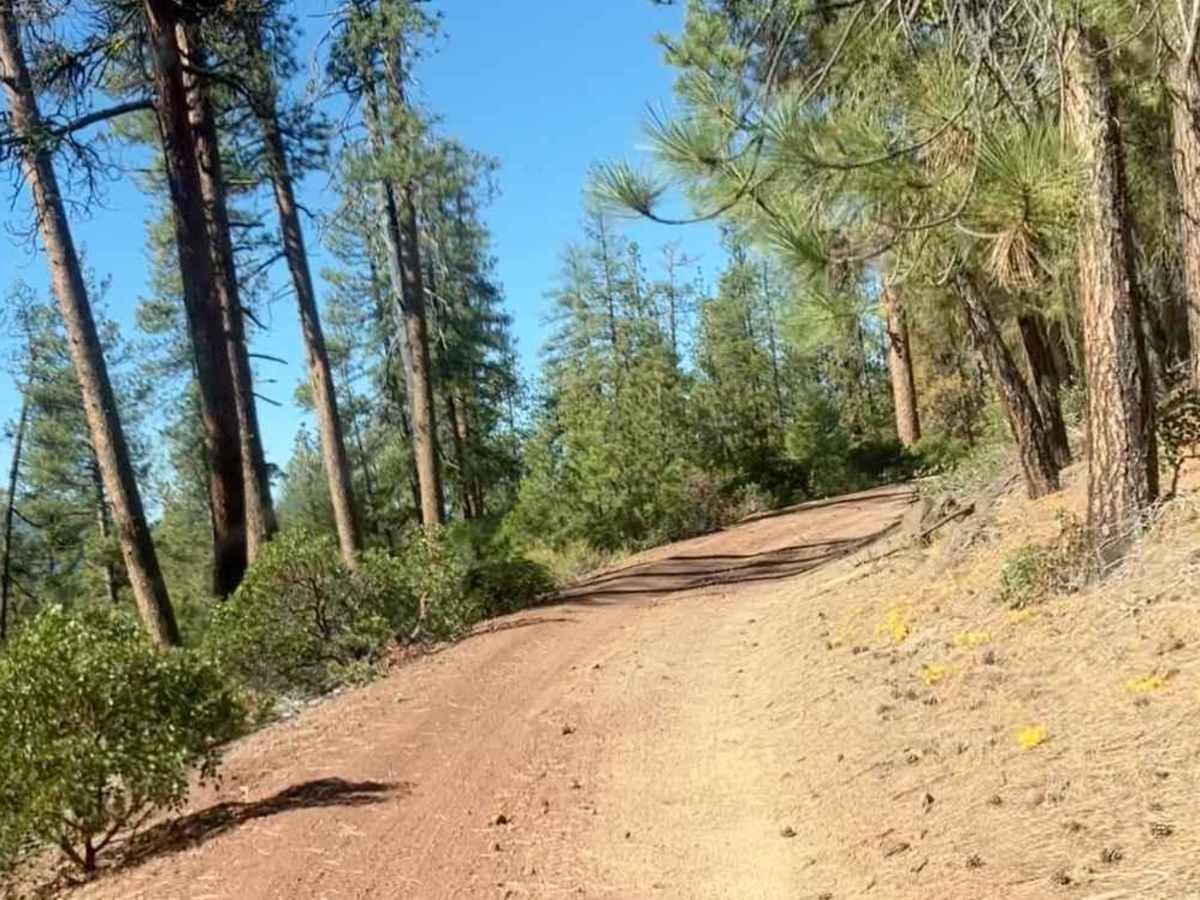 Pringle Butte Trail photo 3