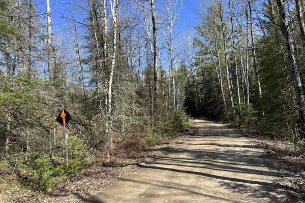 Norway Truck Trail Cassidy Creek Rd