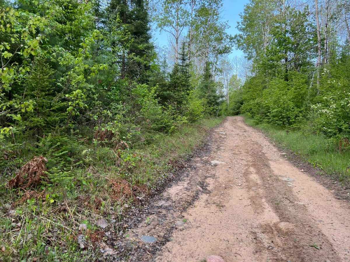 Norway Truck Trail (NWT) Trail 5 North photo 4