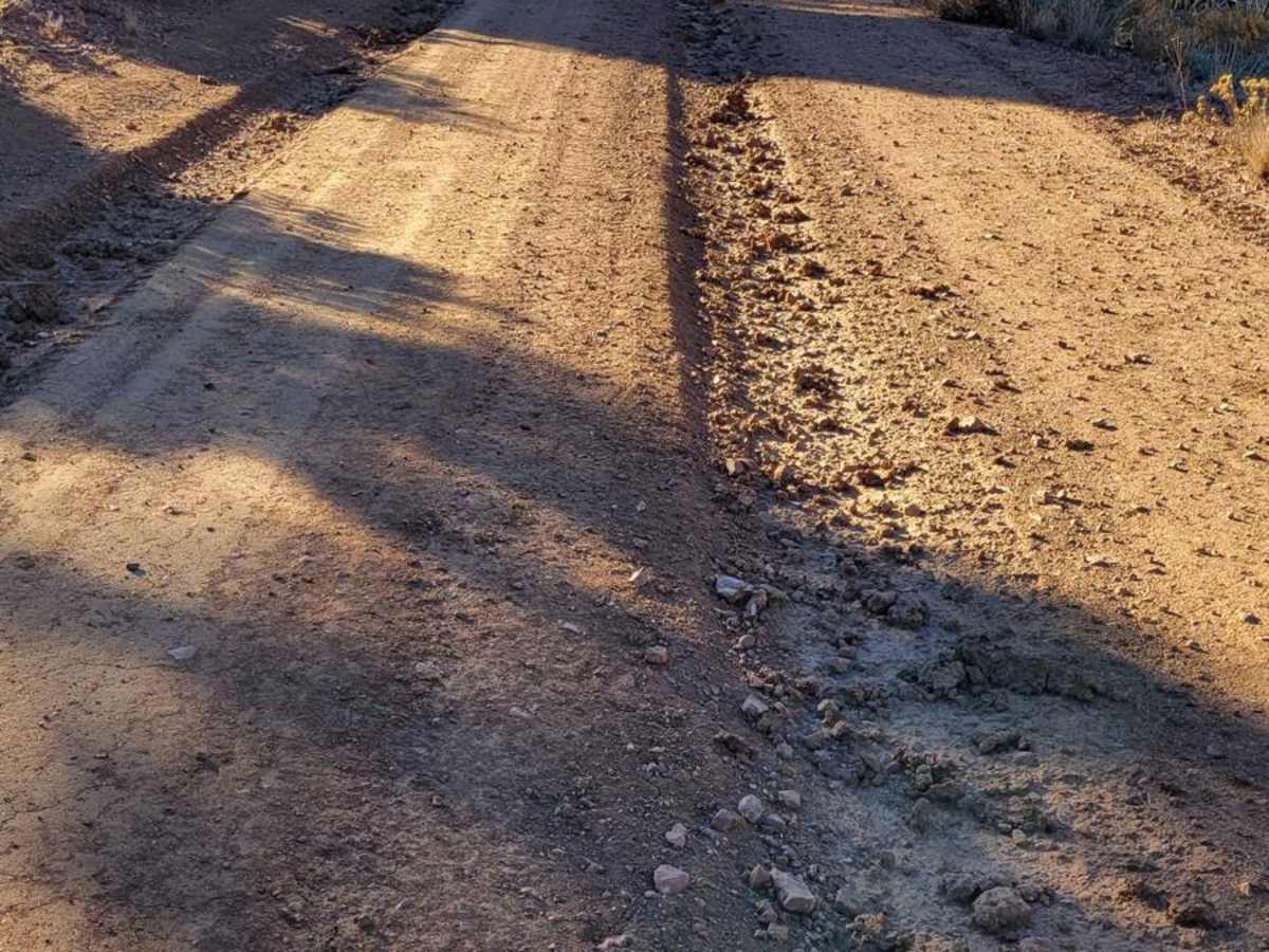 BLM 1054 photo 3