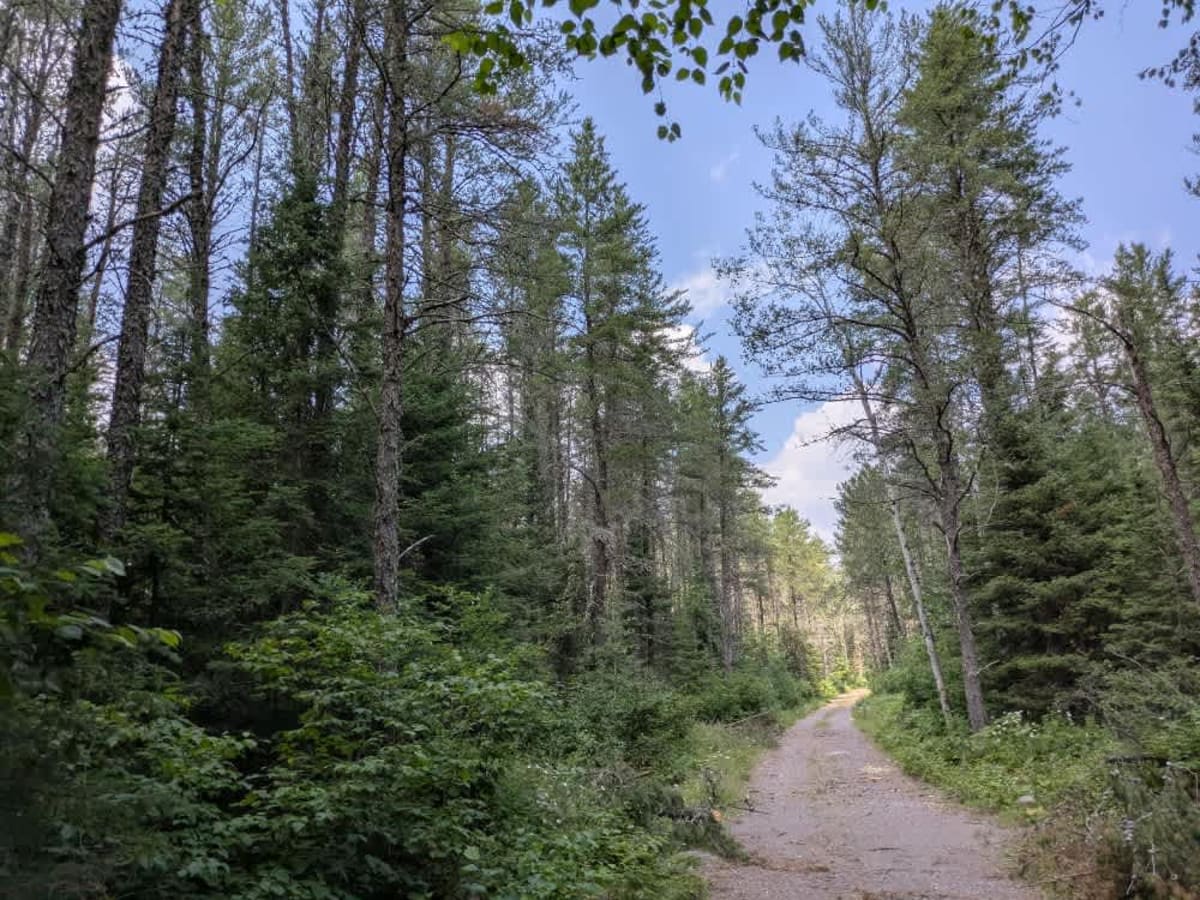 Edward Lake photo 5