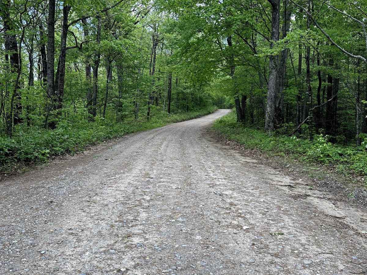 Walnut Fork photo 3