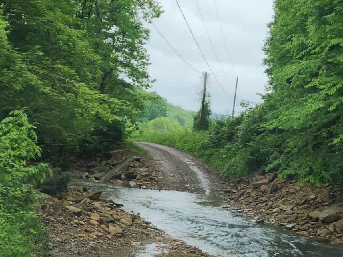 Beech Fork  Road photo 4