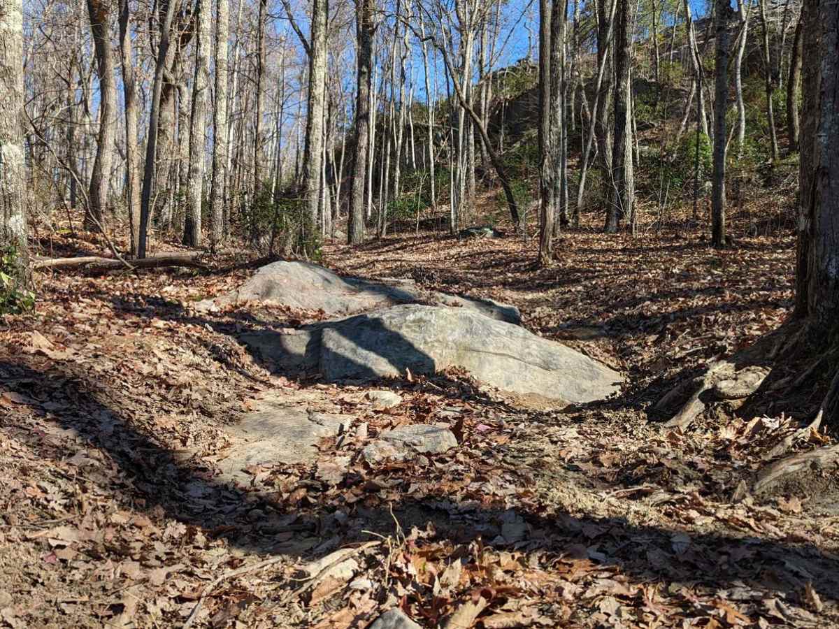 Walden's Ridge Bypass Trail 75a photo 2