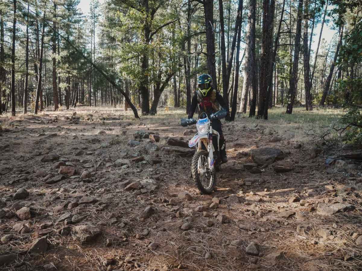 Iron Springs Connector photo 2