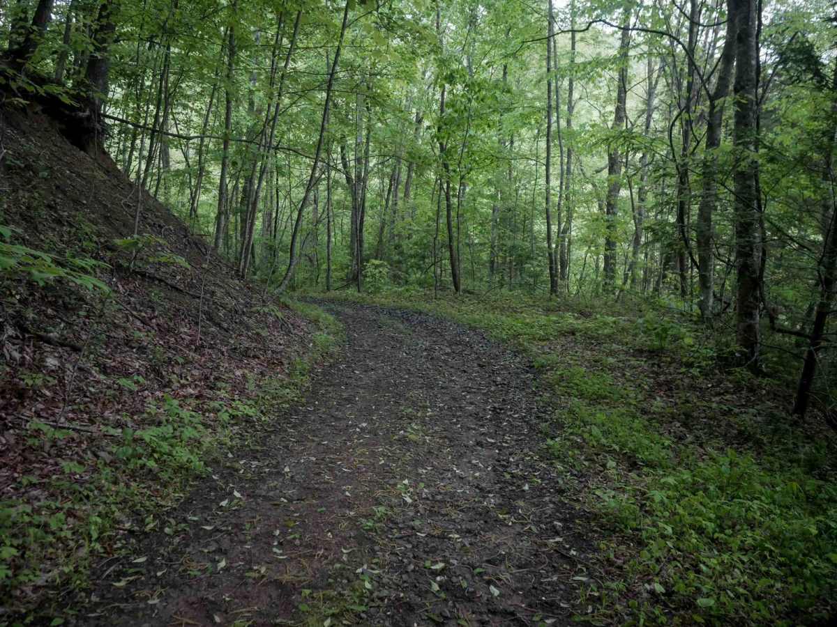 J15 trail photo