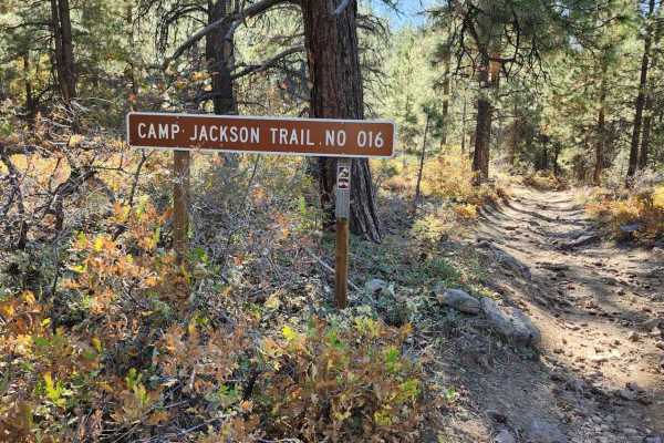 Camp Jackson Trail