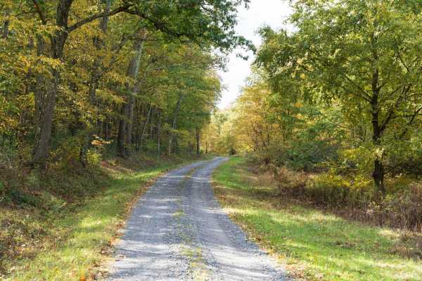 Pine Swamp Road