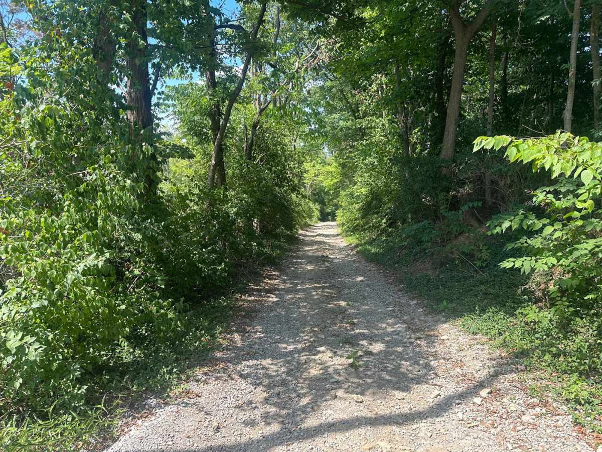 Jackson Branch Road photo 2