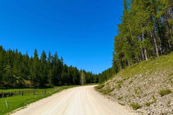 Black Fox Camp Road - FS 233