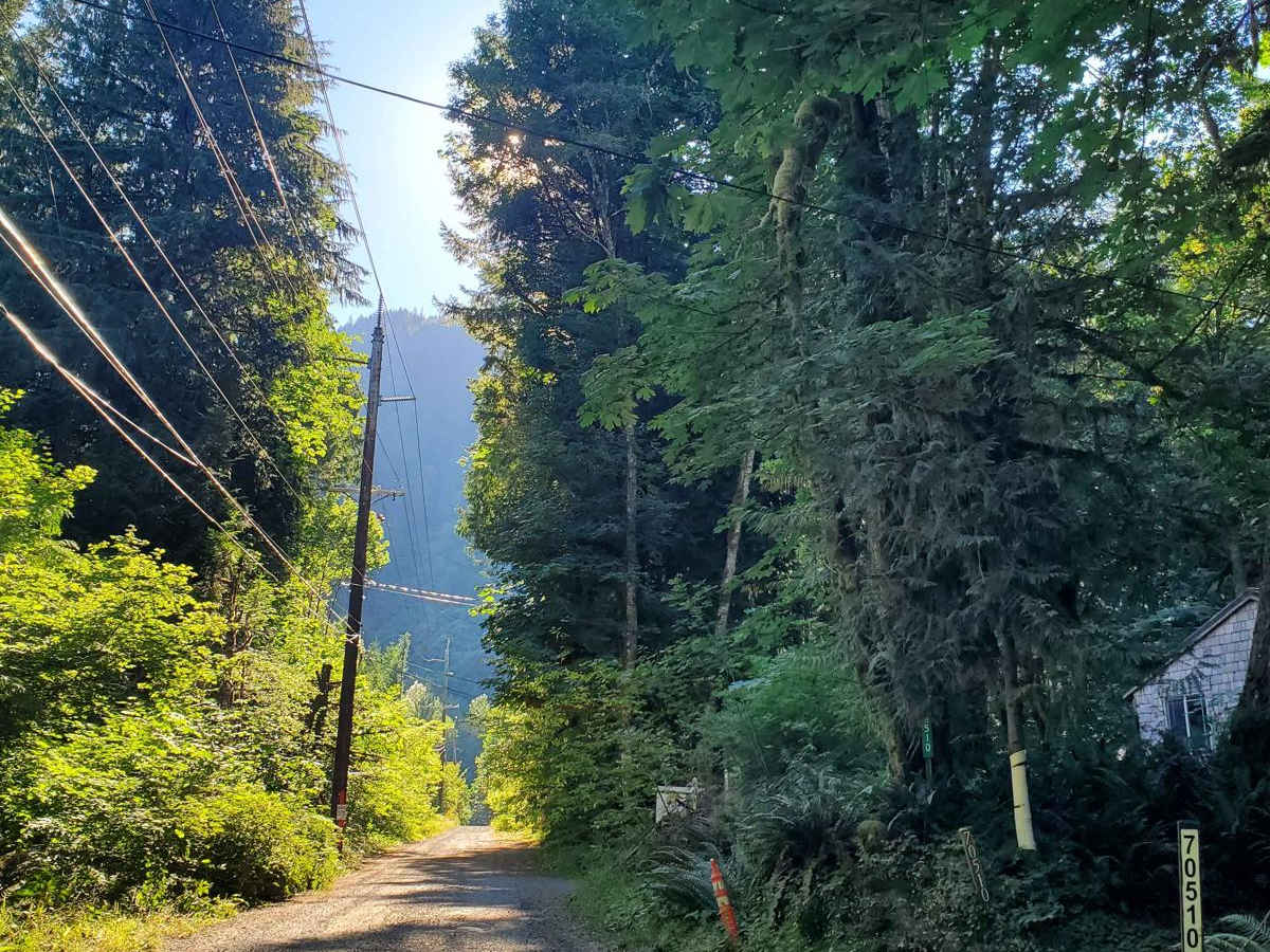 Road to Zigzag Mountain Hiking Trail photo 2