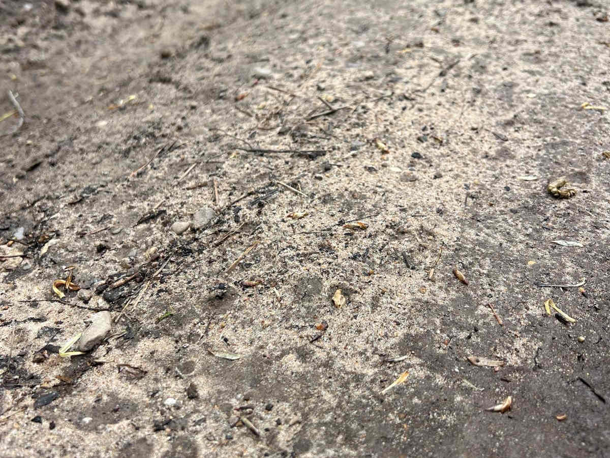 S 23-1/2 Trail photo 4