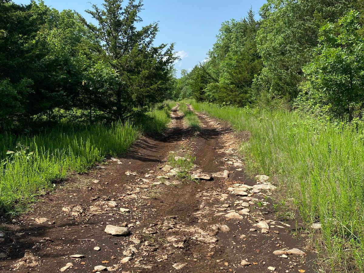 Path Finder photo 6
