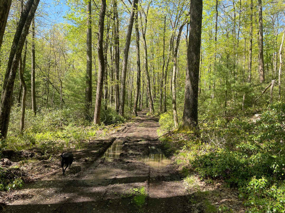 Little Poe Trail photo 4