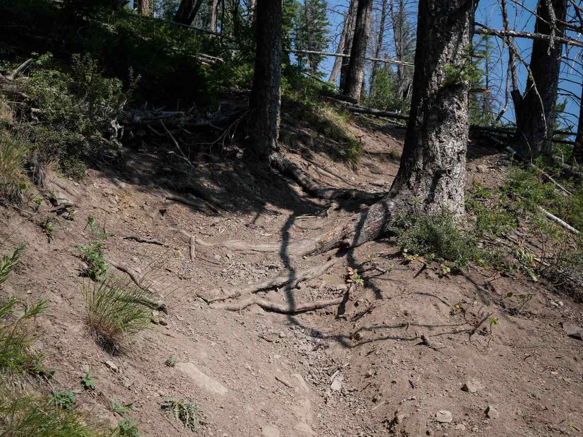 Sawmill Creek photo 6