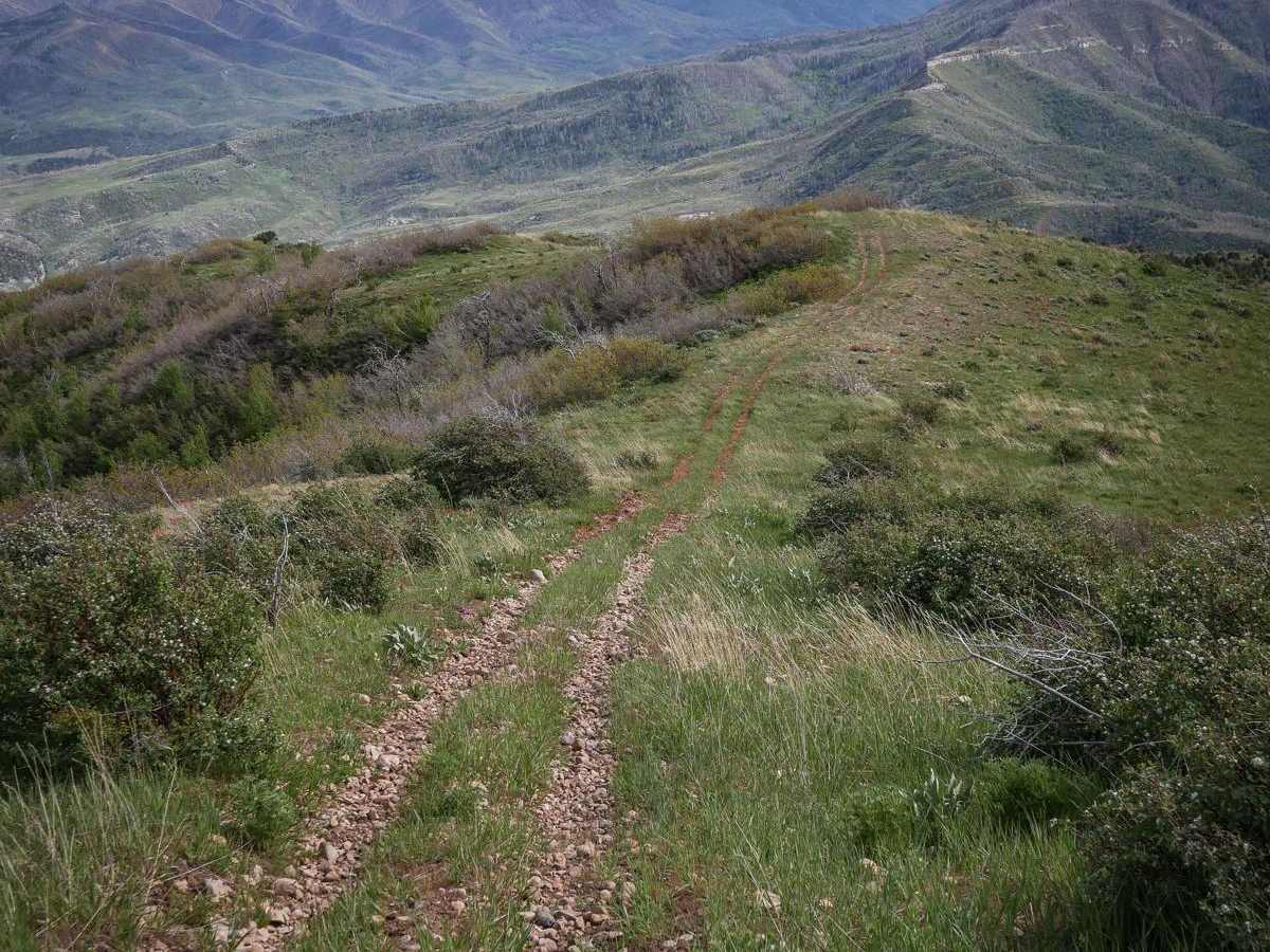 Teat Mountain ATV #202 photo 4