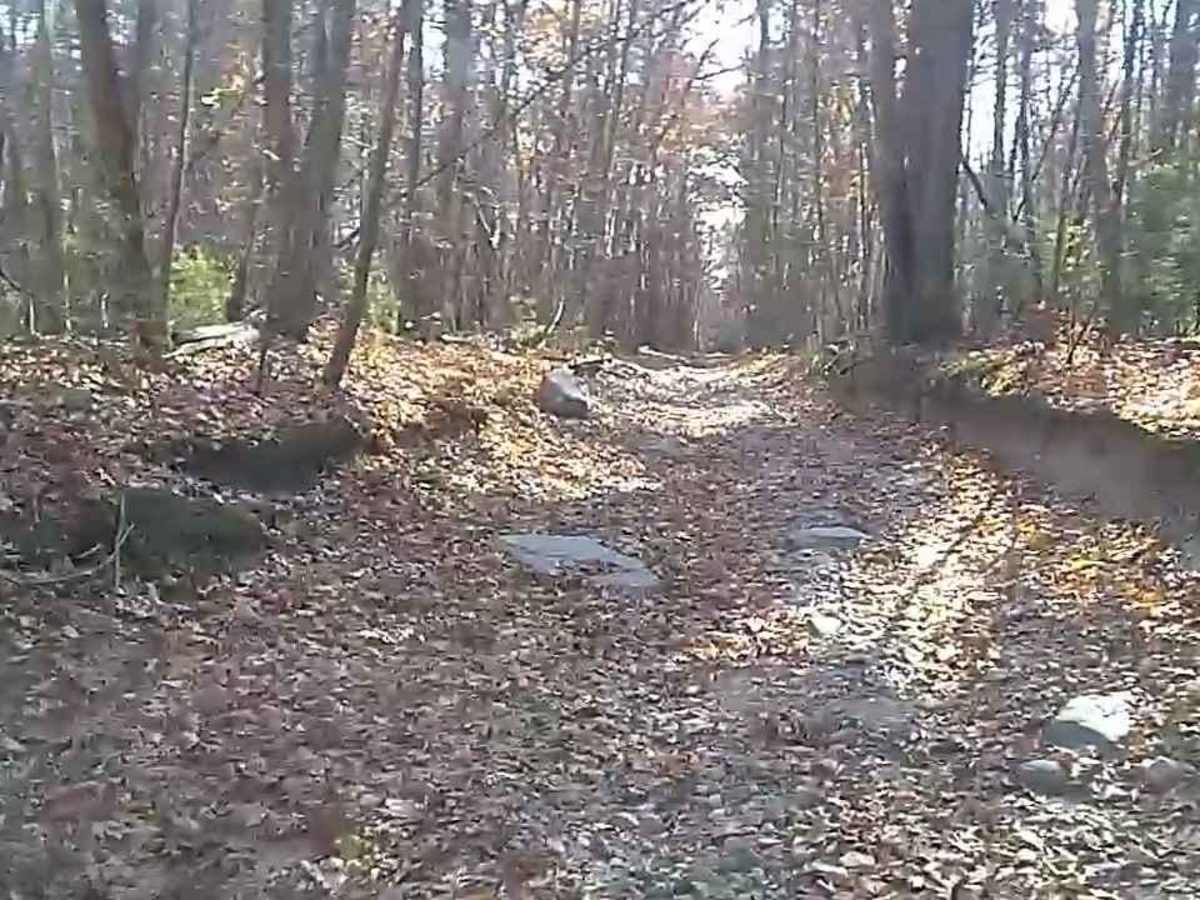 Wakefield Pond & Silver Brook Roads photo 4