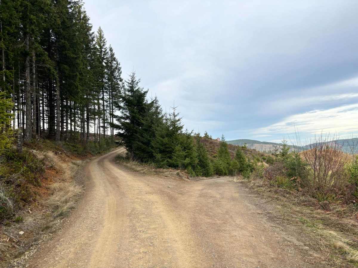 NoFo Road photo 6