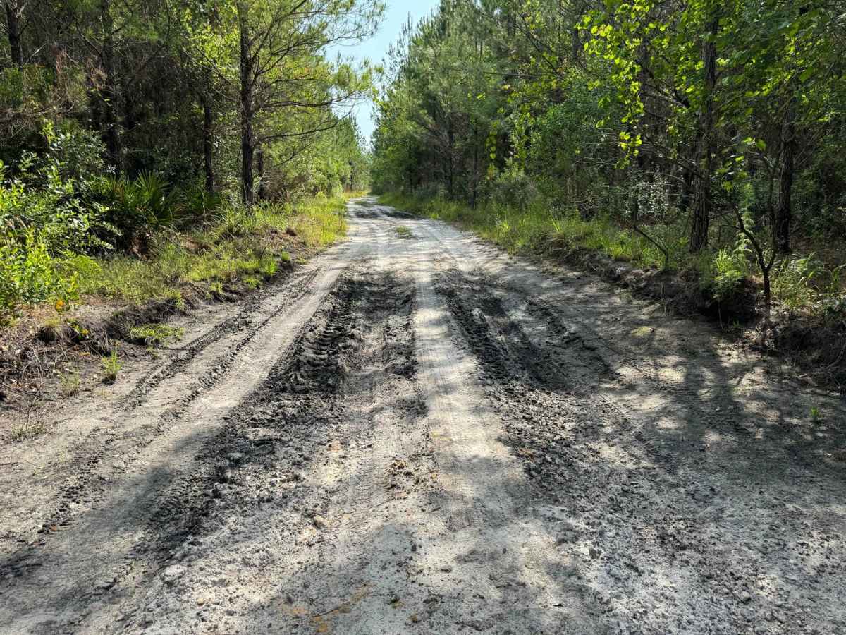 Fish Camp Road North photo 6