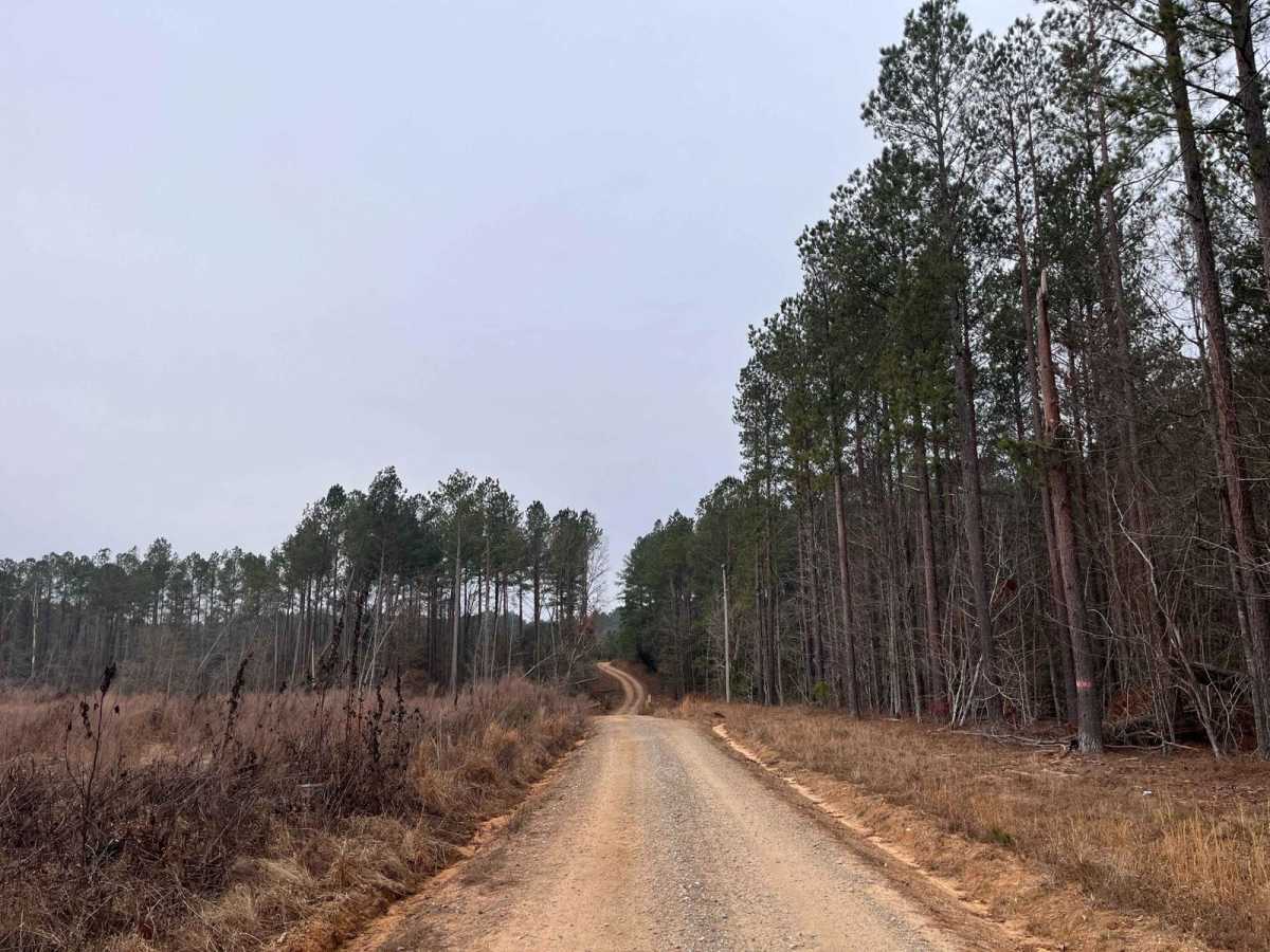 Rugged Hill Drive photo 2