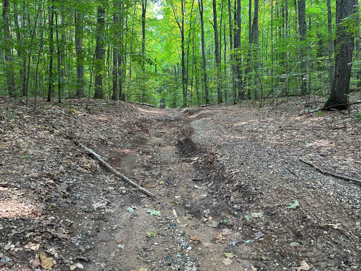 Fine Line Trail - FS 5775 photo 6