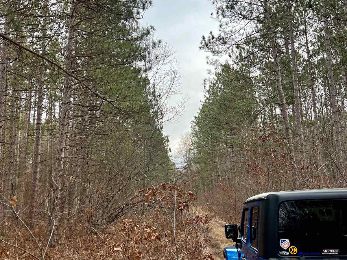 NFS 9705 trail photo