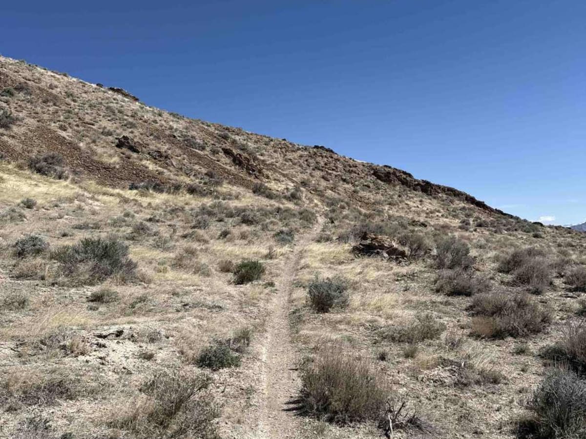 East Magic Mountain photo 2