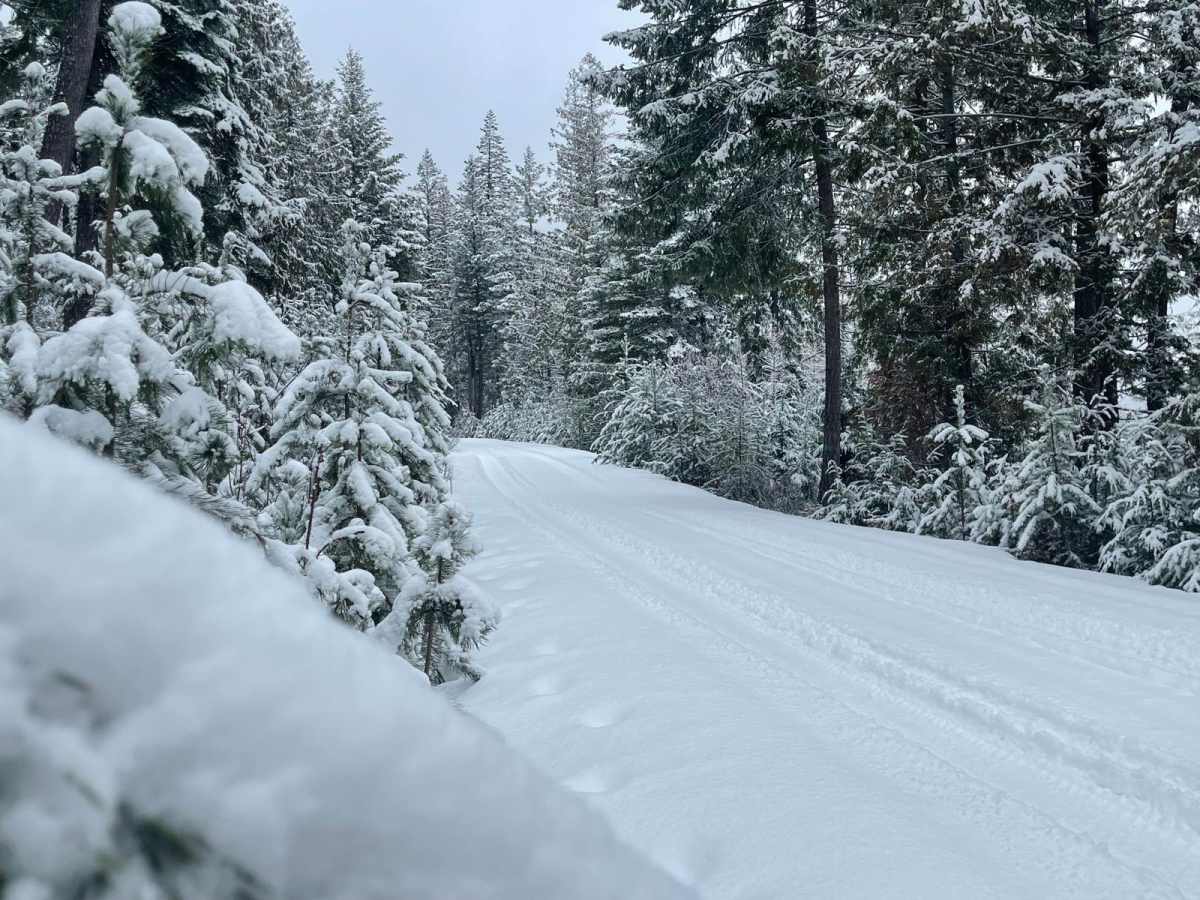 Copper Falls trail photo