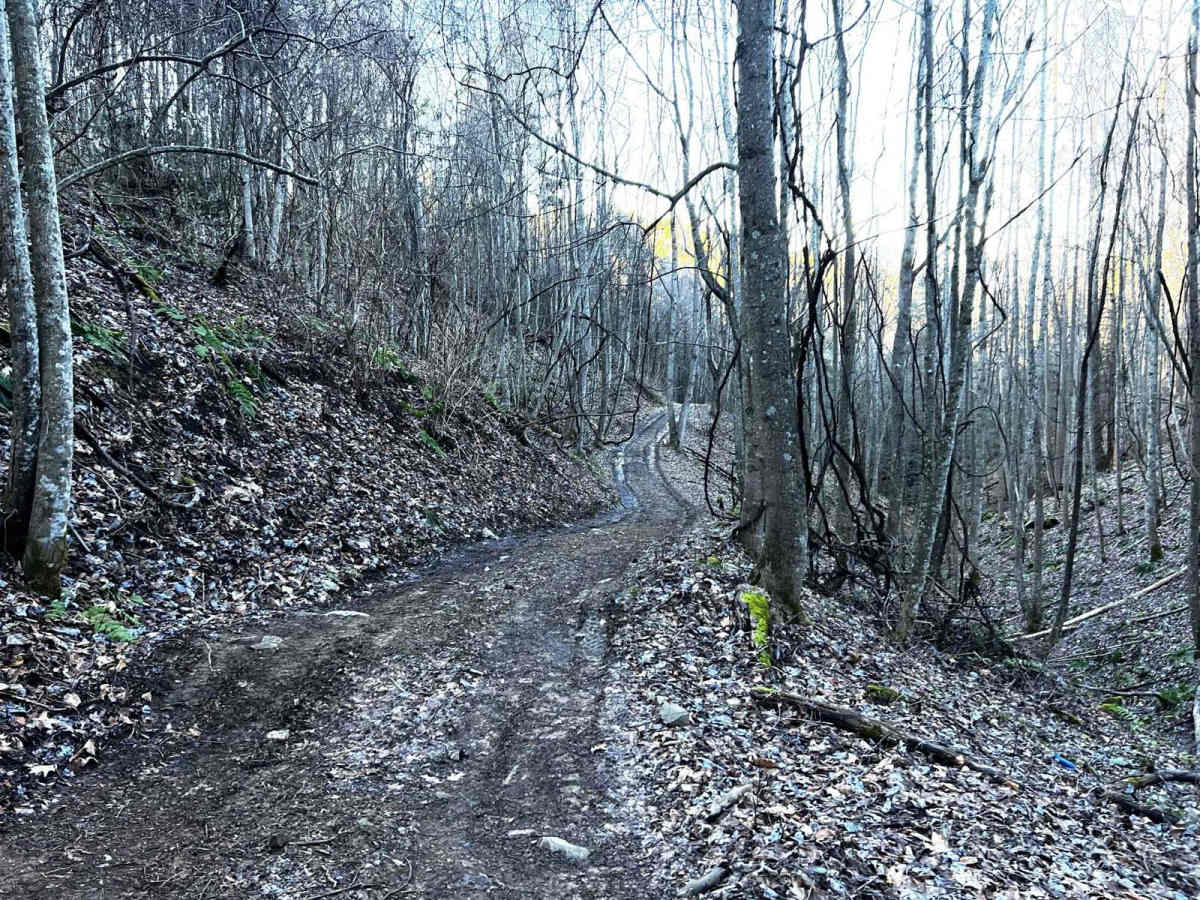 Dicks Creek to Dark Hollow (Unicoi to Erwin) photo 5