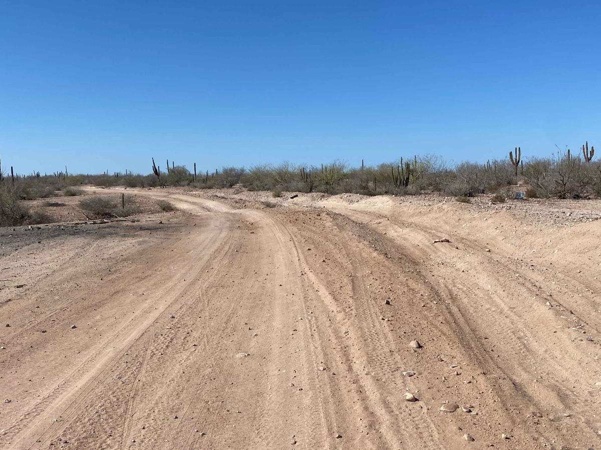 Centenario Cutoff photo 6