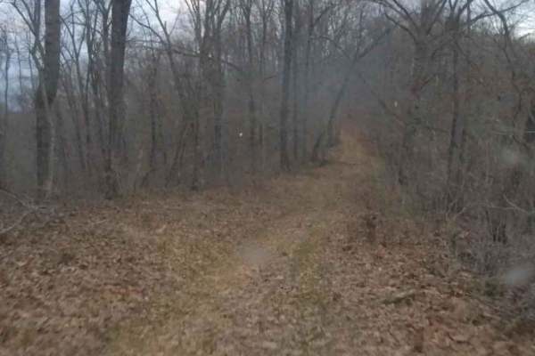 Turkey Leg Hill