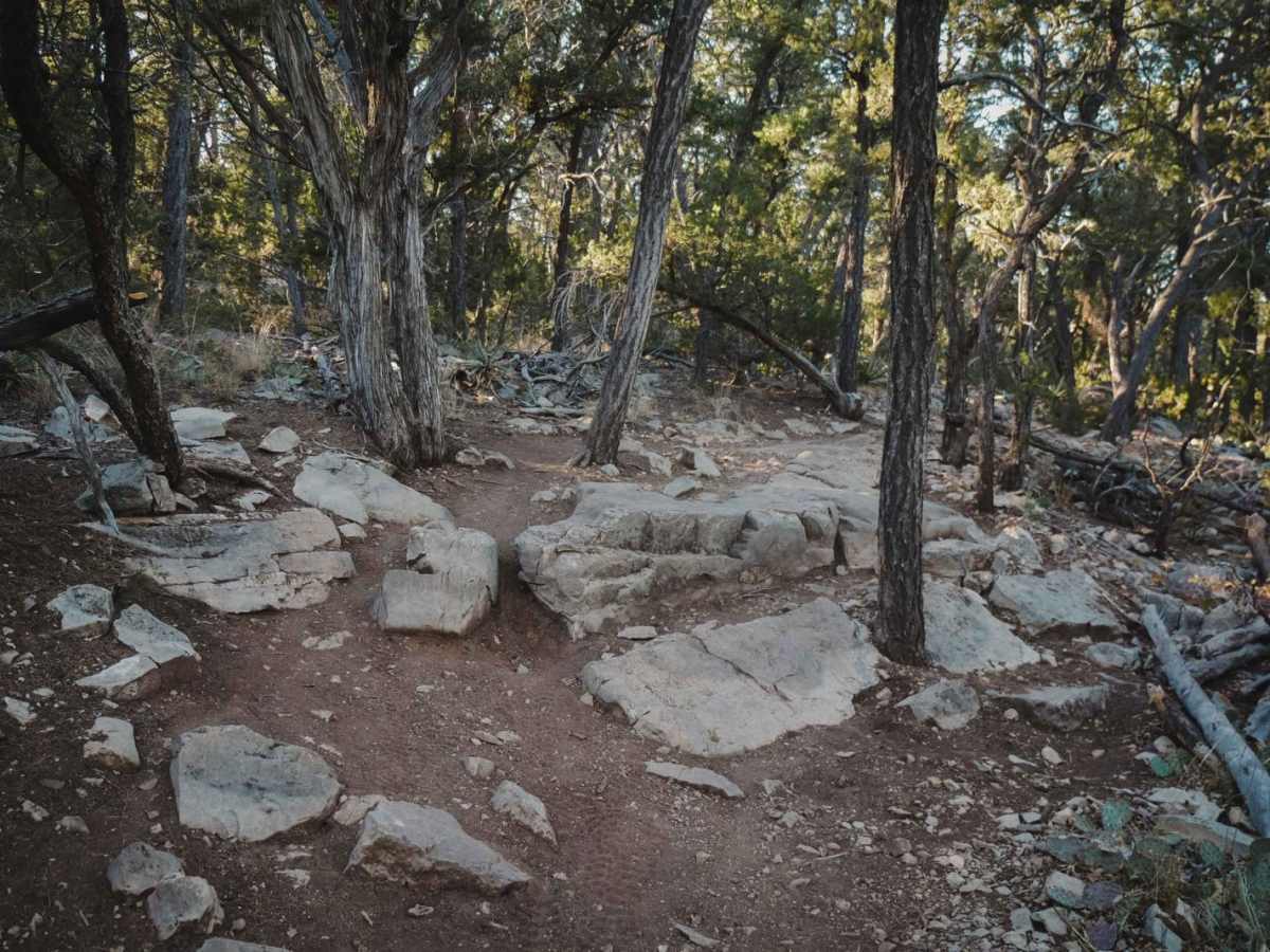 West Ridge photo 4