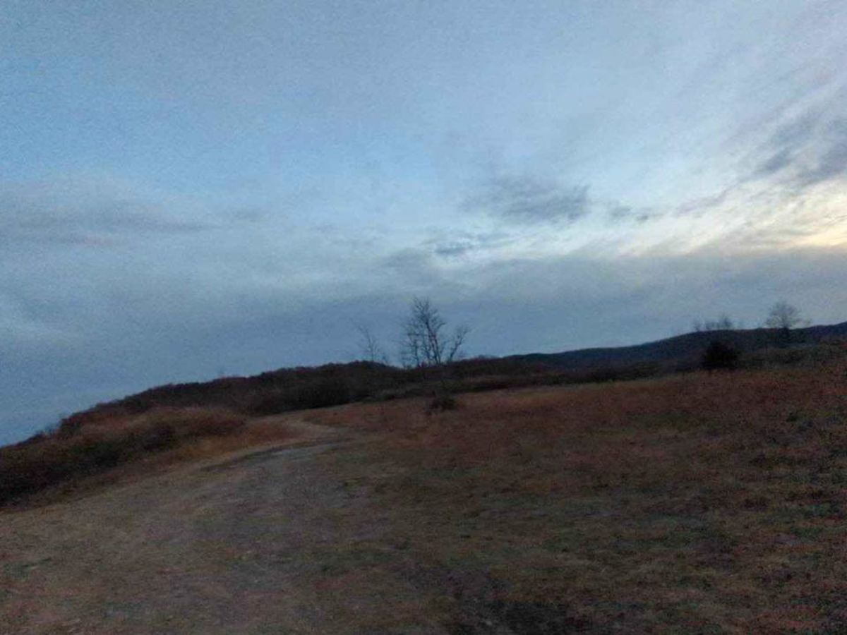 66 - Caryville Flats photo 5