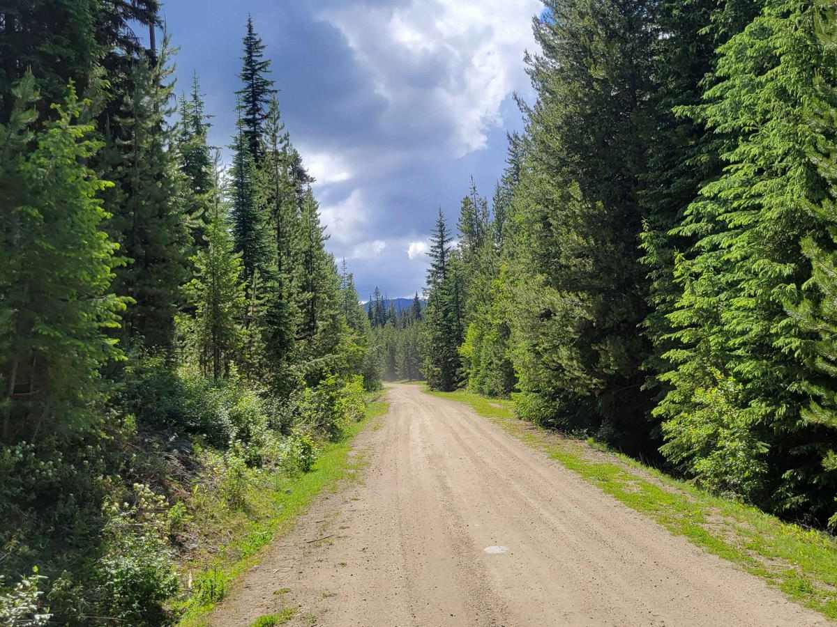 Cougar Creek Road trail photo