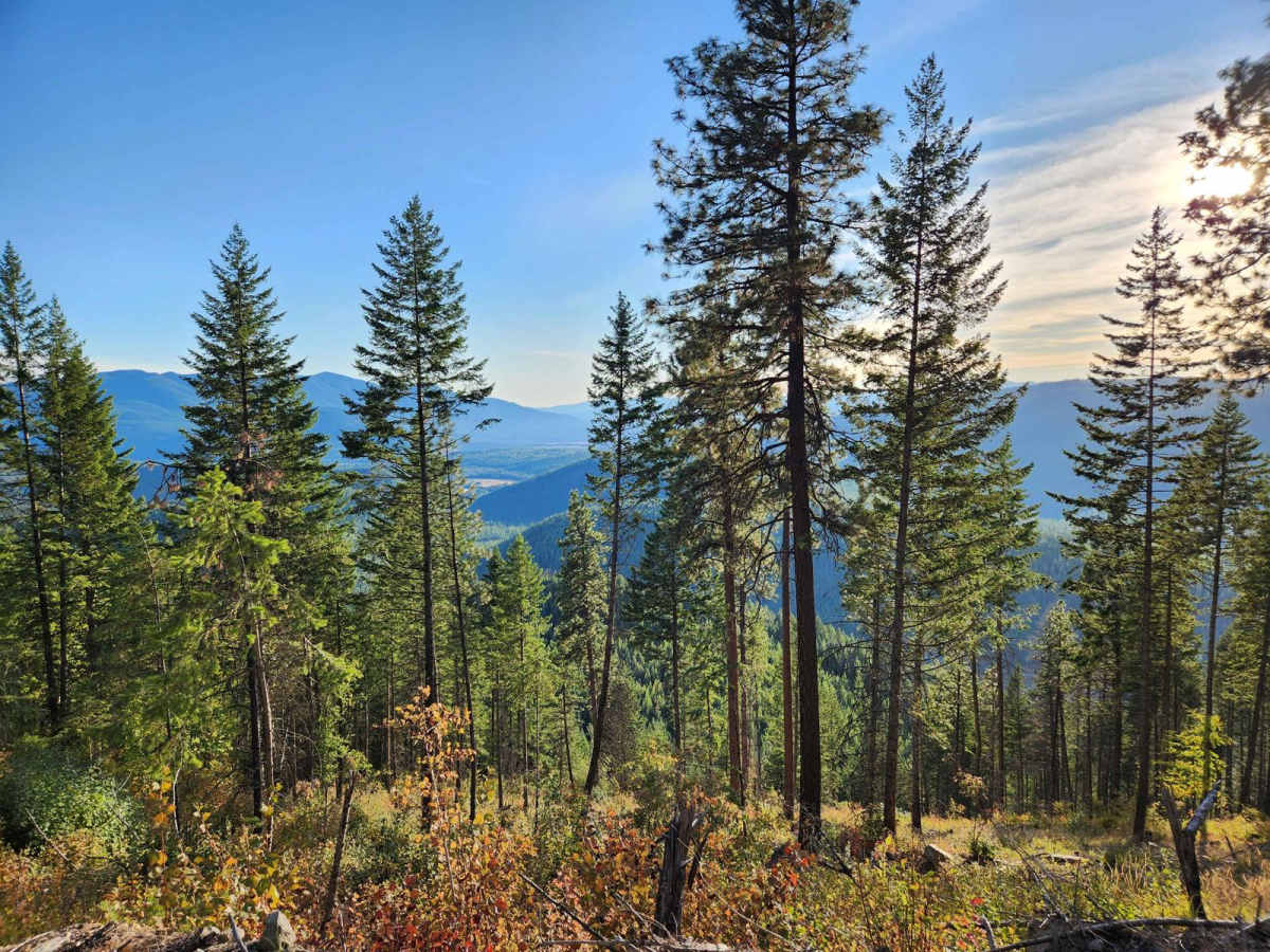Solomon Mountain trail photo