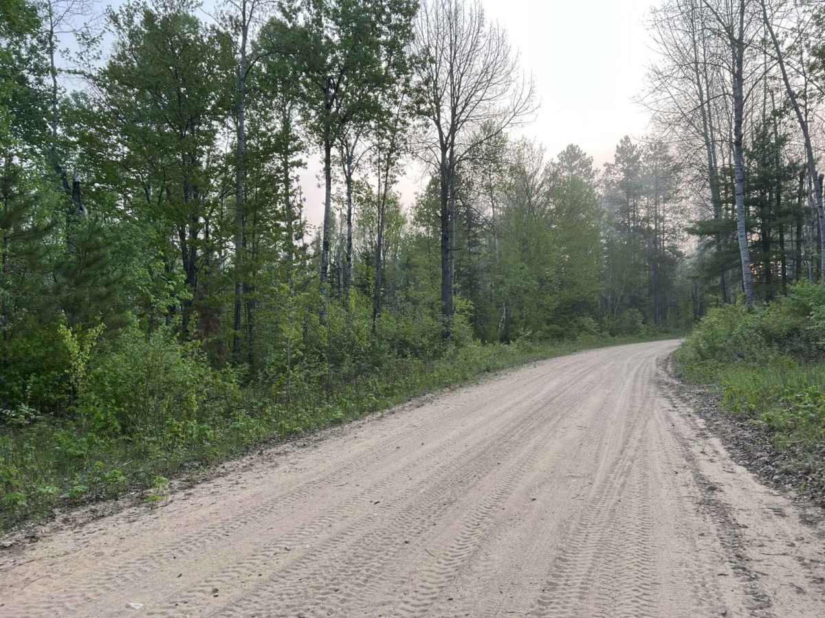 Lyons Lake Road photo 6