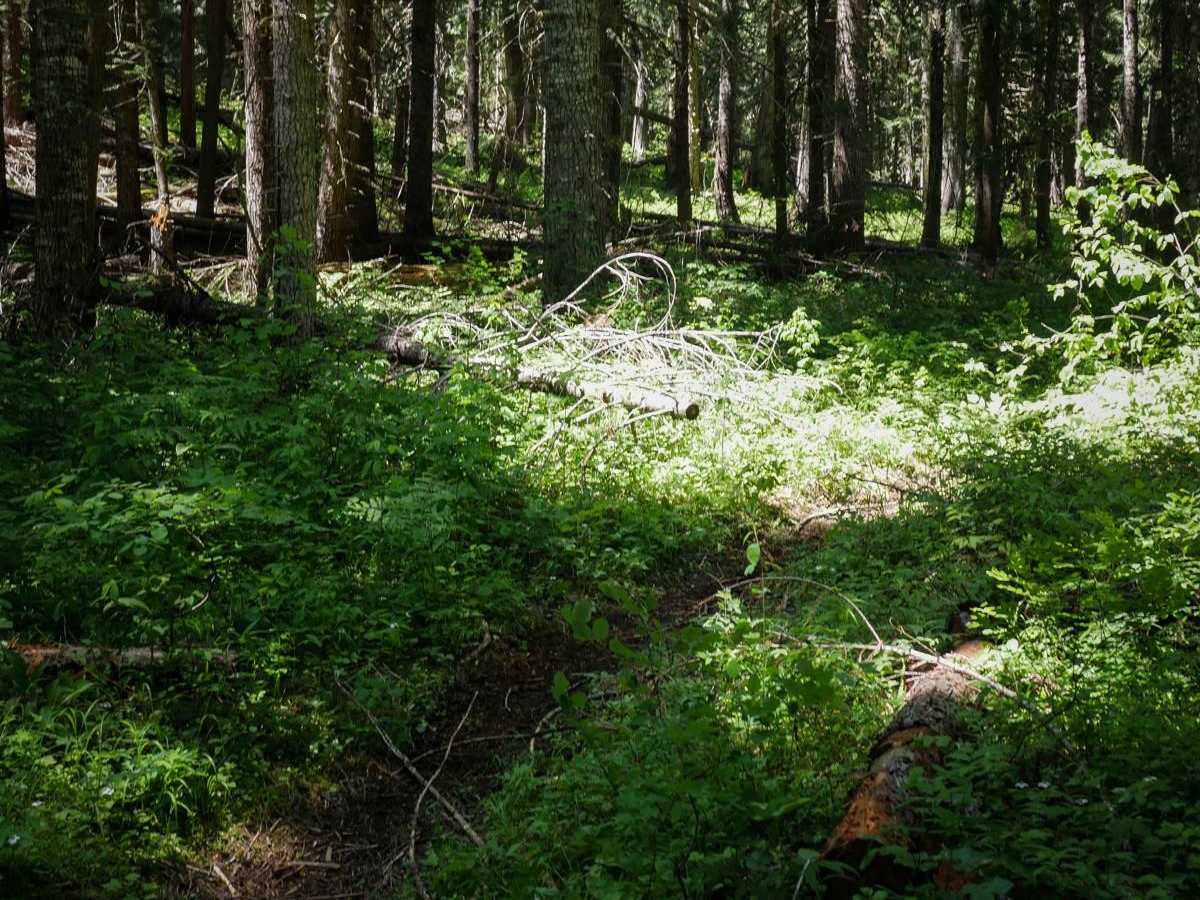 Cabin Point photo 5