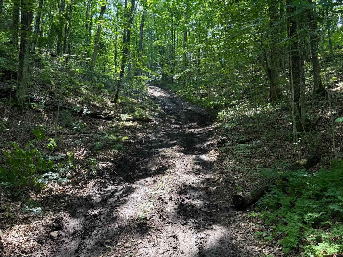 Hemlock Ridge photo 5