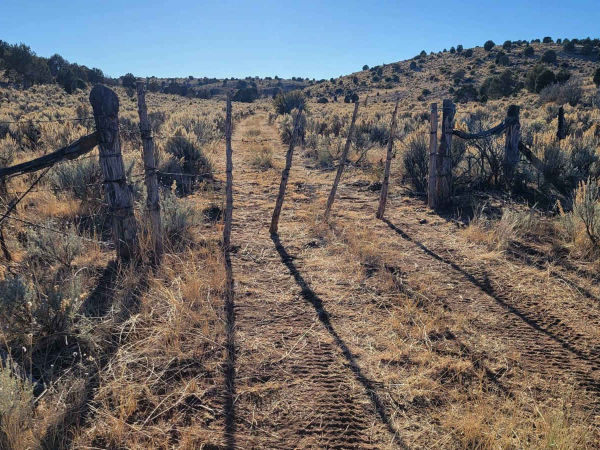 BLM 1649 photo 6