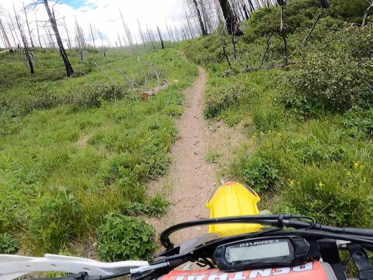 Camp Creek Trail photo 6