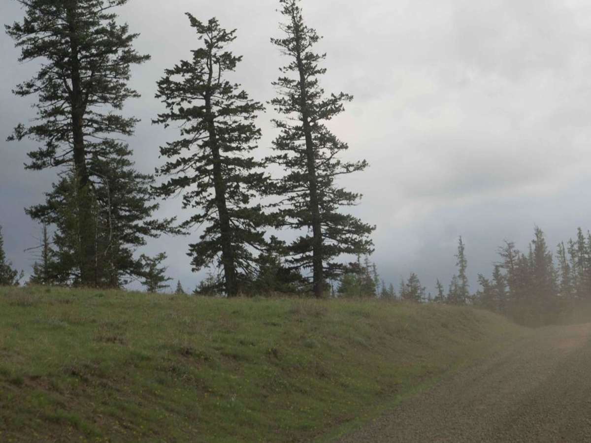 Pomeroy Grouse (National Forest Development RD 040) #1 photo 5