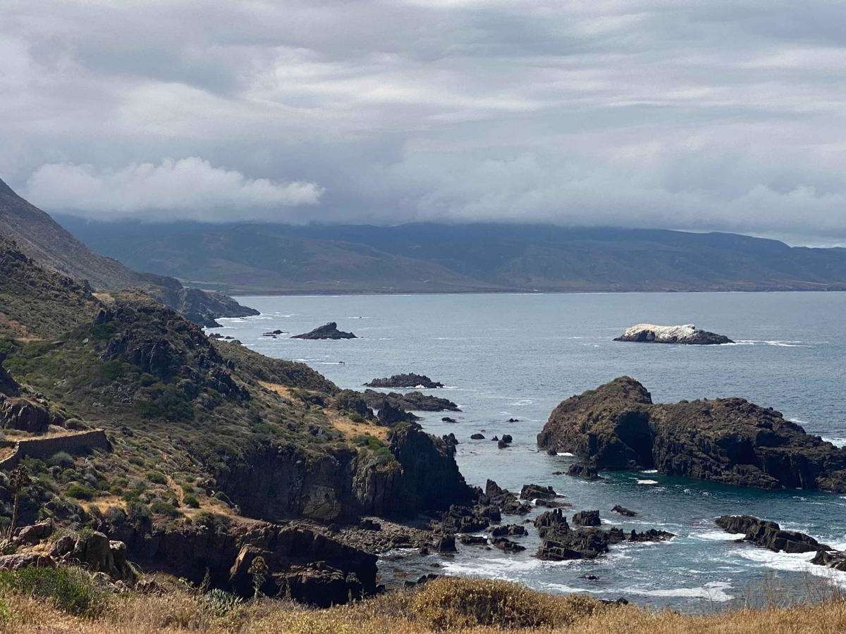 Arbolitos Cove photo 5