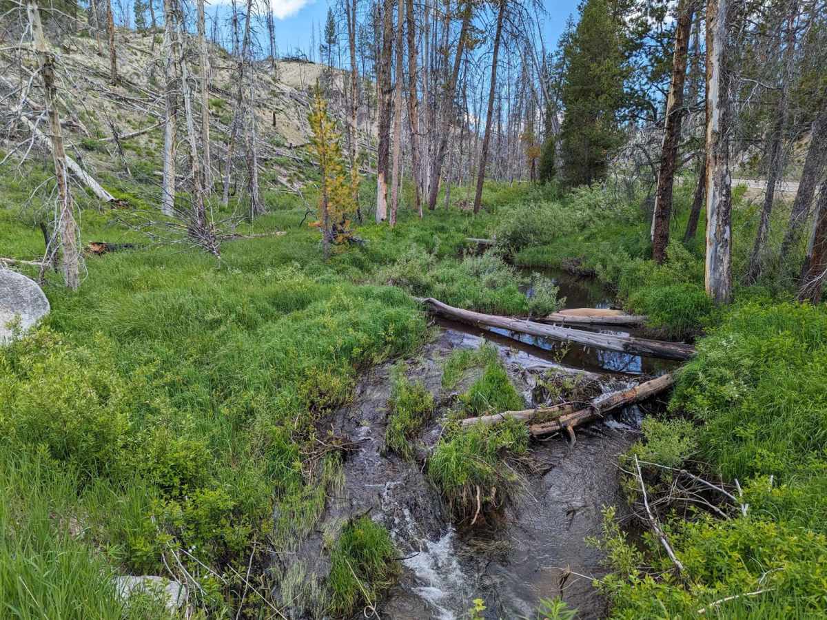 Gold Fork Loop 393 (China Fork West Fork) photo 4