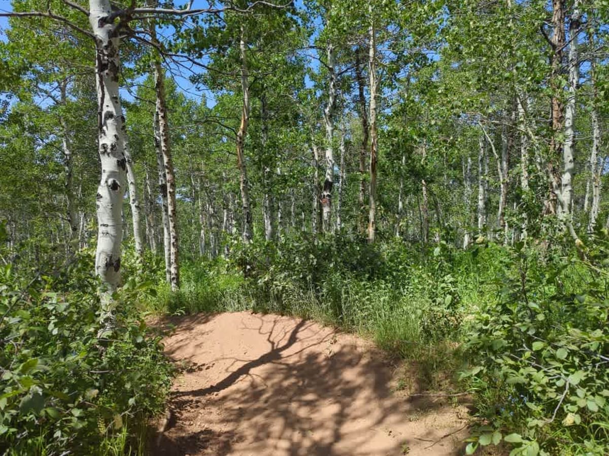 Dry Bread Hollow ATV photo 5