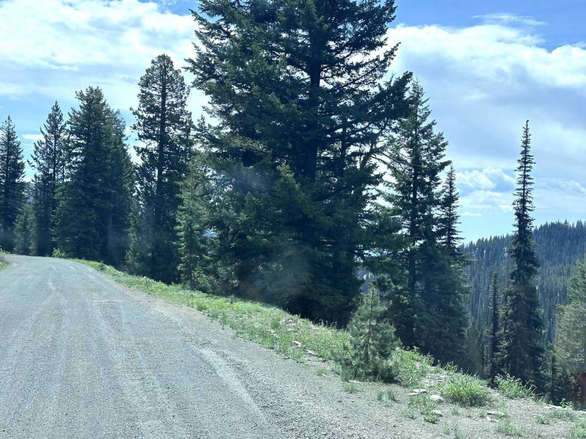 Goose Lake Road photo 6