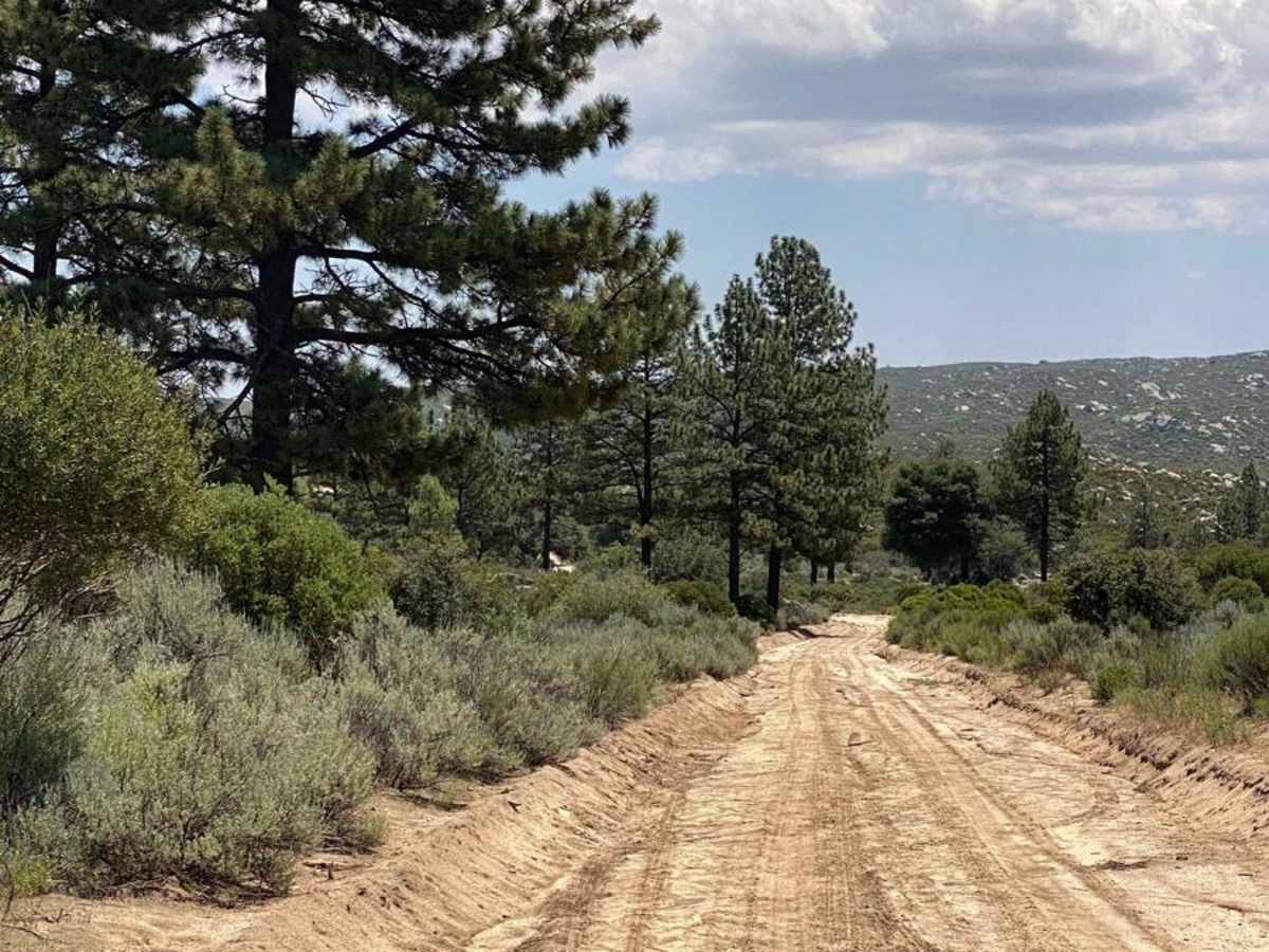 Road to Four Ranches photo 4