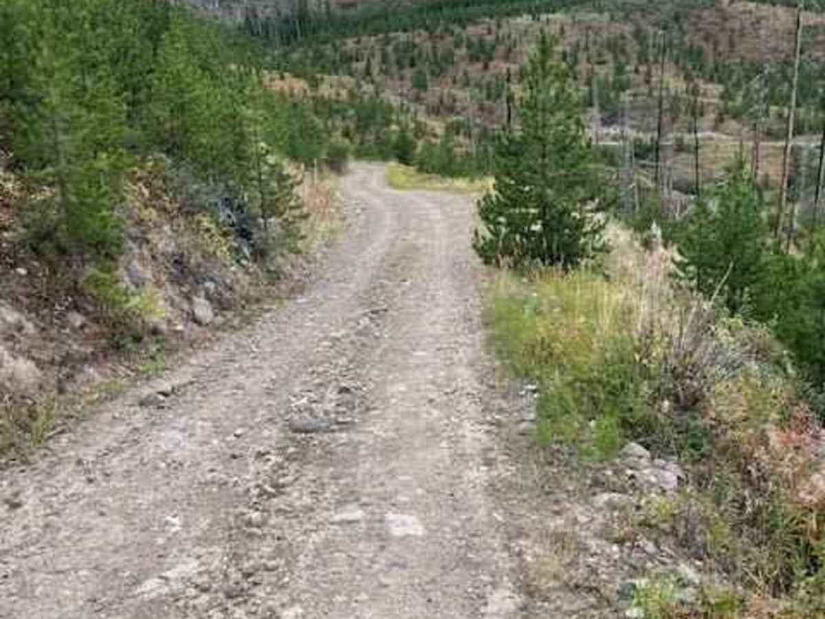 Mill Creek Road photo 4