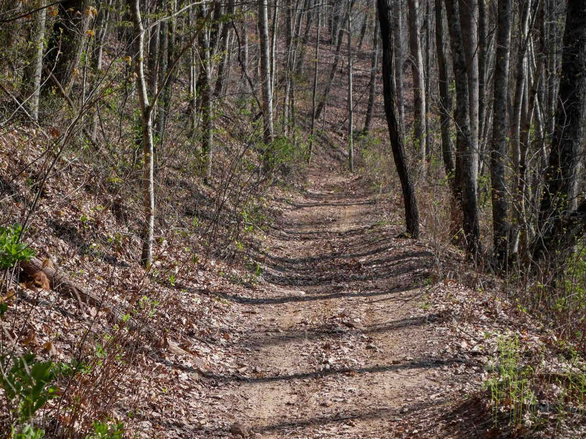 Sunset Ridge Trail 6 photo 4